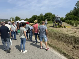 Oggi oltre 2.500 persone hanno assistito alle dimostrazioni pratiche sul nocciolo 1