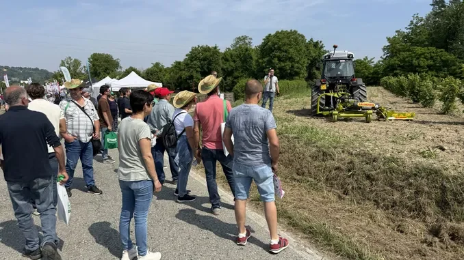 Oggi oltre 2.500 persone hanno assistito alle dimostrazioni pratiche sul nocciolo 1