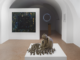 Saluzzo: l’arte contemporanea traccia il futuro