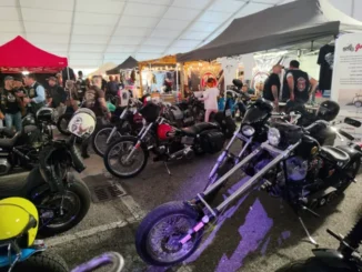 Boom di pubblico ad Alba tra moto, tatuaggi e pugilato 6