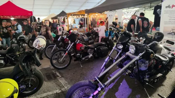 Boom di pubblico ad Alba tra moto, tatuaggi e pugilato 6