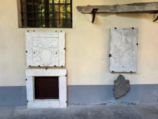 Tra microscopi e libri antichi: i tesori custoditi al liceo classico Govone di Alba 7