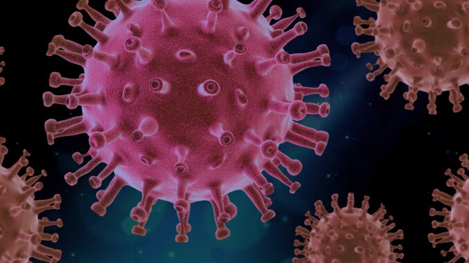 Hantavirus: indicazioni dalla Regione alle aziende sanitarie