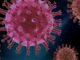 Hantavirus: indicazioni dalla Regione alle aziende sanitarie