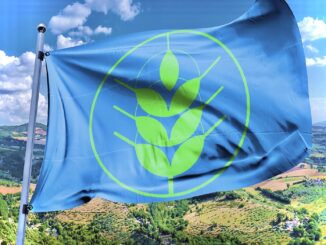 Piemonte: 22 Spighe Verdi, &egrave; la regione pi&ugrave; premiata d&rsquo;Italia