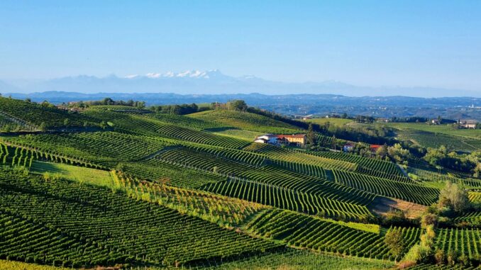 I Comuni del Moscato chiedono attenzione ed equilibrio nelle decisioni per la prossima vendemmia