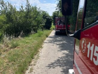 Incendio nel pomeriggio a Bra: in fiamme un&rsquo;ampia porzione di noccioleto