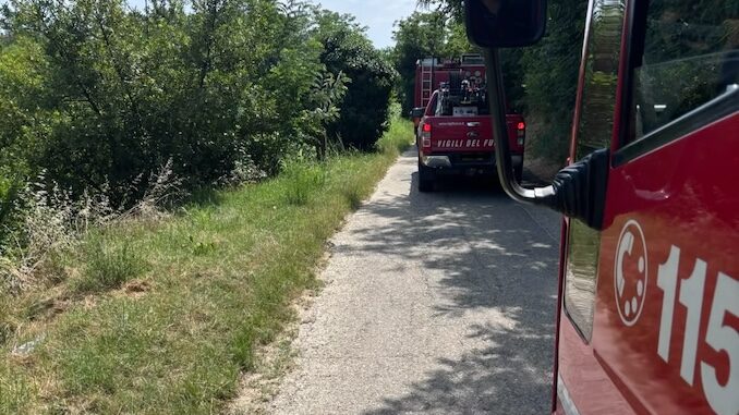 Incendio nel pomeriggio a Bra: in fiamme un’ampia porzione di noccioleto