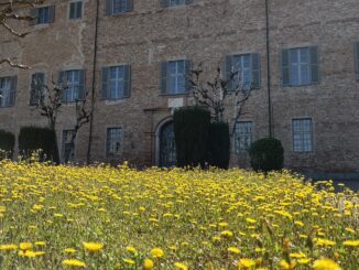 Manifesta Bellezza: 40 tesori da scoprire nel Cuneese