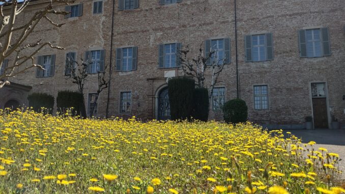Manifesta Bellezza: 40 tesori da scoprire nel Cuneese