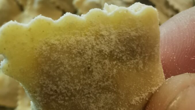 Sagra dell&rsquo;Agnolotto: gusto e territorio a Verzuolo
