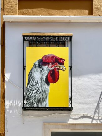 I am the chi: il progetto fotografico di Edoardo Pistone ha raggiunto l'Andalusia 2