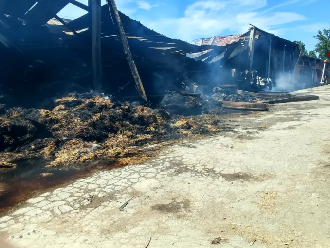Nella notte un incendio distrugge un