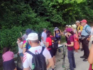 Grande partecipazione al 12&deg; Pellegrinaggio da Castellinaldo al Santuario della Madonna dei Fiori 4