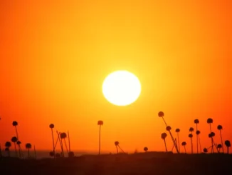 Allerta caldo in Piemonte: in arrivo un'ondata prolungata, picchi fino a 38 gradi