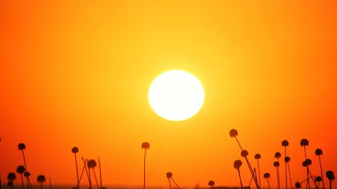 Allerta caldo in Piemonte: in arrivo un'ondata prolungata, picchi fino a 38 gradi