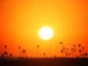 Allerta caldo in Piemonte: in arrivo un'ondata prolungata, picchi fino a 38 gradi