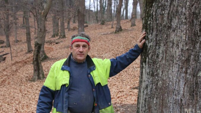 Castagna Cuneo Igp: più formazione e promozione per crescere
