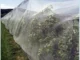 Reti anti Popillia japonica: la Regione Piemonte stanzia contributi per le reti di contenimento