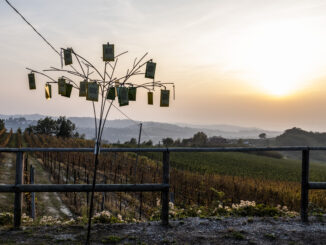 L’arte caratterizza i Notturni sulla strada romantica a Mombarcaro e Neive