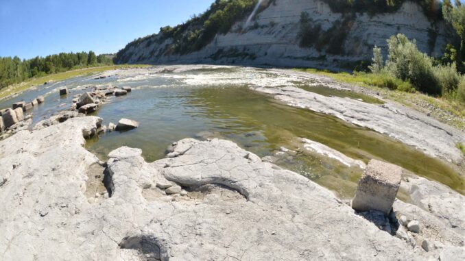 Tanaro in secca. Campigotto: &laquo;Senza le piogge il livello del fiume scende&raquo; 1
