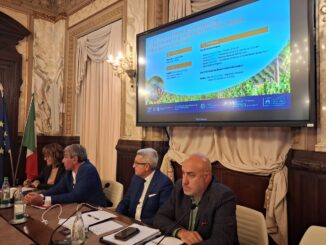 Gestione legale ed etica della manodopera in vigna: arrivano il bollino per le aziende e un registro 2