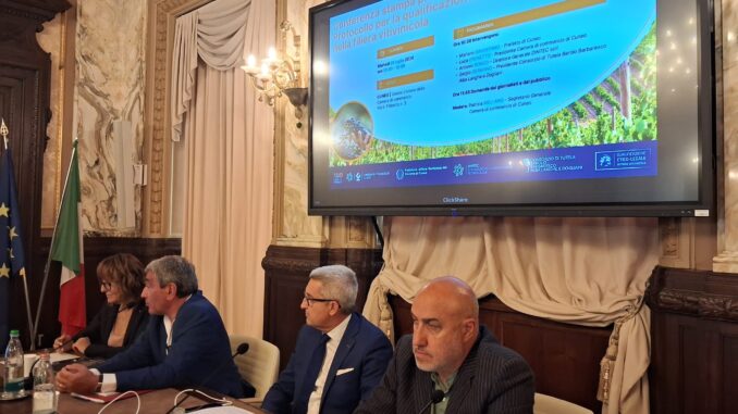 Gestione legale ed etica della manodopera in vigna: arrivano il bollino per le aziende e un registro 2