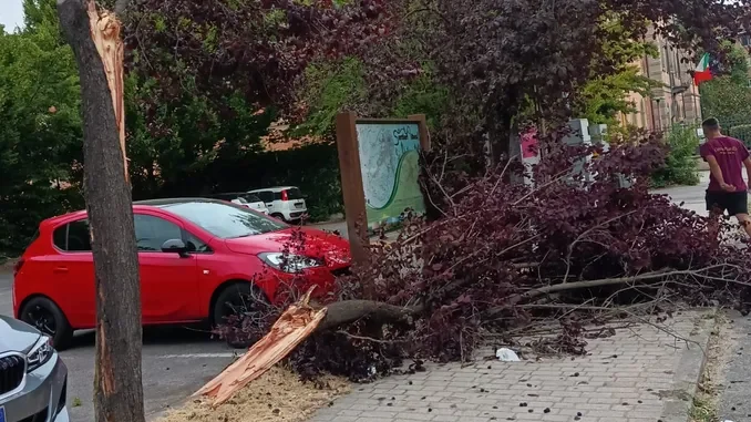 Maltempo / Temporale nel pomeriggio di sabato 11 preceduto da forti raffiche di vento 2