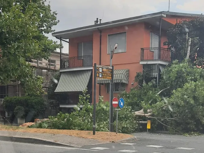Maltempo / Temporale nel pomeriggio di sabato 11 preceduto da forti raffiche di vento