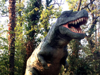 ITINERARI / Una gita a Rivolta d&rsquo;Adda alla scoperta dei dinosauri