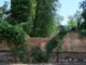 Bra / Il parco di Villa Augusta è abbandonato: il punto di vista di Italia nostra
