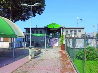 Bozza automatica 906