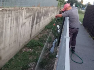 Ad Alba prosegue il progetto di lotta alle zanzare 1