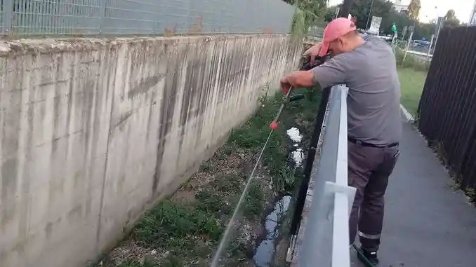 Ad Alba prosegue il progetto di lotta alle zanzare 1