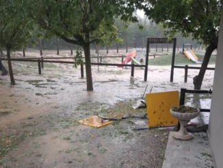 Il temporale distrugge il maneggio di Sportabili Alba a Roddi