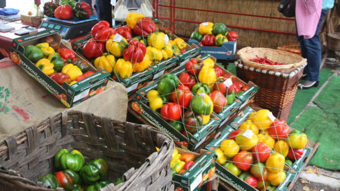 Carmagnola celebra il peperone: dieci giorni tra gusto e tradizione