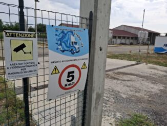 Peste suina, Cia Cuneo denuncia: &laquo;Prezzi penalizzati senza ragione&raquo; 2