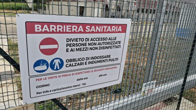 Peste suina, Cia Cuneo denuncia: &laquo;Prezzi penalizzati senza ragione&raquo;