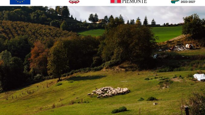 COMPA, a Barolo il Piemonte si racconta attraverso i suoi sapori