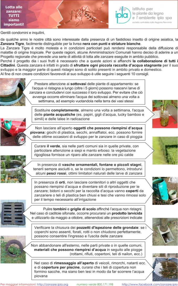 Ad Alba prosegue il progetto di lotta alle zanzare 2
