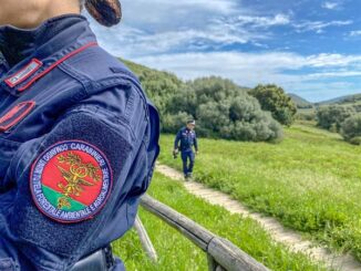 Incendi in Piemonte, venti denunce dal primo giugno