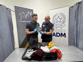 Un testa di coccodrillo in valigia: fermato un passeggero italiano all'aeroporto di Caselle 2