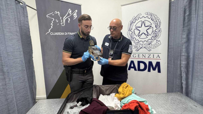 Un testa di coccodrillo in valigia: fermato un passeggero italiano all'aeroporto di Caselle 2