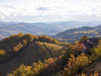 Il Monferrato protagonista di una puntata di 4 Hotel