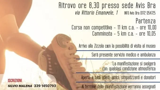 Bozza automatica 916