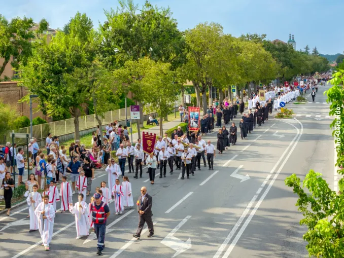La processione della Madonna dei fiori di Bra 2
