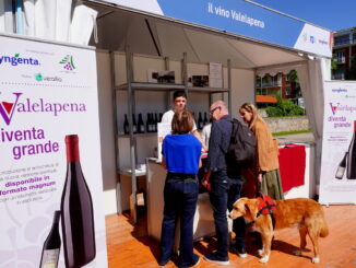 Domenica 4  in piazza Pertinace torna Valelapena!, il mercato che sfata i preconcetti