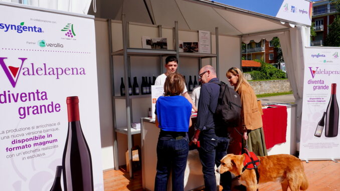 Domenica 4  in piazza Pertinace torna Valelapena!, il mercato che sfata i preconcetti