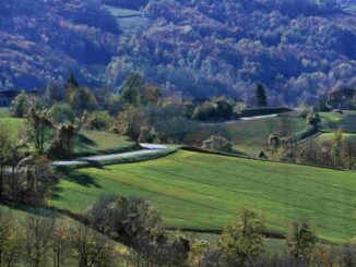 Agricoltura, dal Gal Mongioie 162mila euro per diversificare le attività