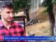 Castanicoltura, Bozzolo al Tg1: «Recuperare i castagneti abbandonati»